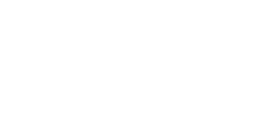 نیٹلر partner logo